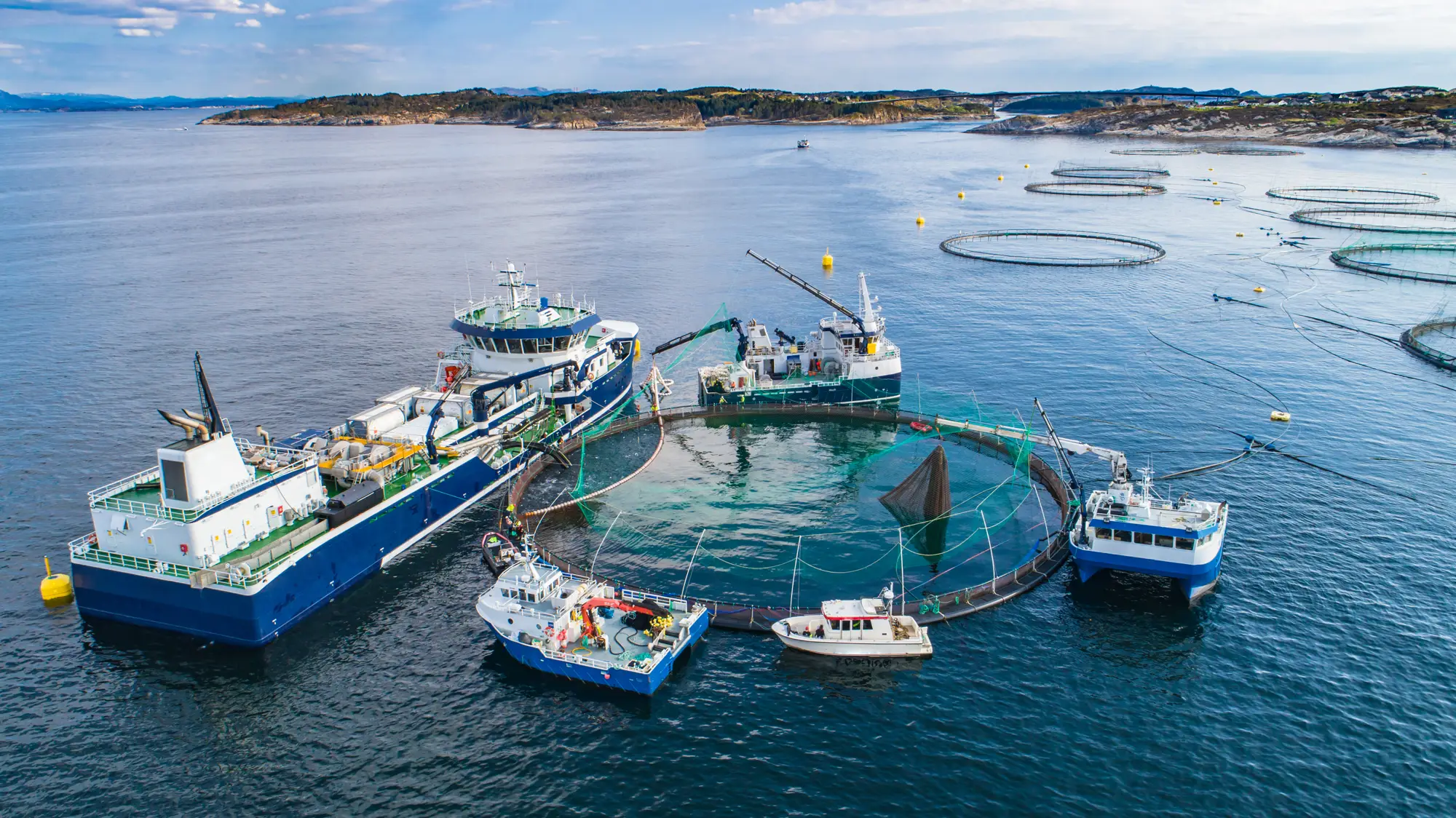 Salmon farming facility in a Norwegian fjord with service vessel